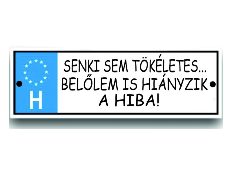 Rendszám Senki sem tökéletes
